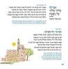 Kavanat HaLev Siddur - Vinyl Cover - Small
