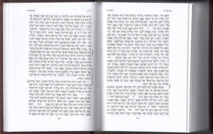 Kavanat HaLev Siddur - Vinyl Cover - Medium