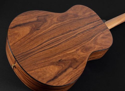 זוית נוספת Washburn BELLA TONO ELEGANTE S24S