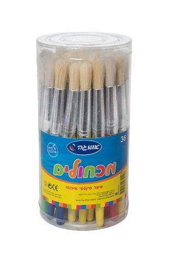 מכחולים