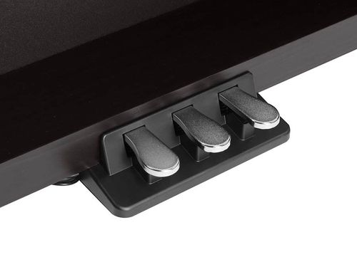 זוית נוספת Medeli DP460K