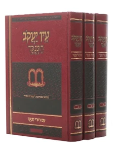 עין יעקב המנוקד - ג