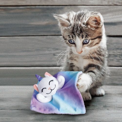 קונג קרקלס עם קטנים