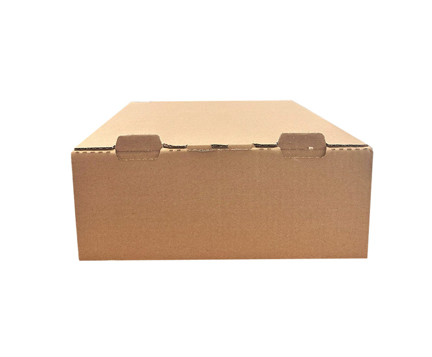 קרטון עוגה 120x300 חום חלק טבעי + זיזים
