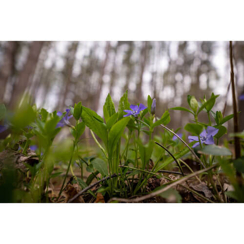 עדשת Sigma 16-28mm f/2.8 DG DN לסוני