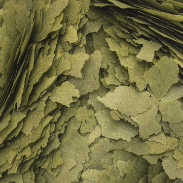 מזון דפים 3 אצות 1000 מ”ל Tropical 3 Algae Flakes