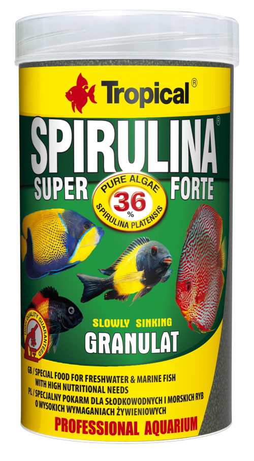 ספירולינה סופר פורטה גרגרים 250 מ”ל Tropical Spirulina Super Forte Granulat