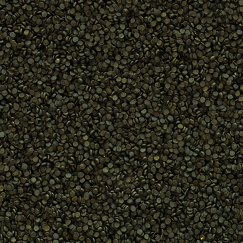 ספירולינה סופר פורטה גרגרים 250 מ”ל Tropical Spirulina Super Forte Granulat