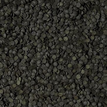 ספירולינה סופר פורטה צ'יפס 1000 מ”ל Tropical Spirulina Super Forte Chips