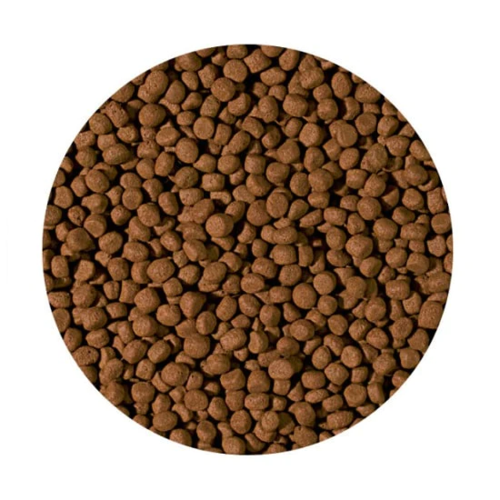 מזון ציקליד קרניבור מדיום פלטס 1000 מ”ל tropical cichlid carnivore medium pellet