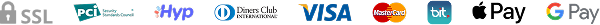 payment_icon
