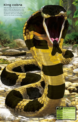 חוברת מדבקות גדולה 5+חיות מסוכנות
