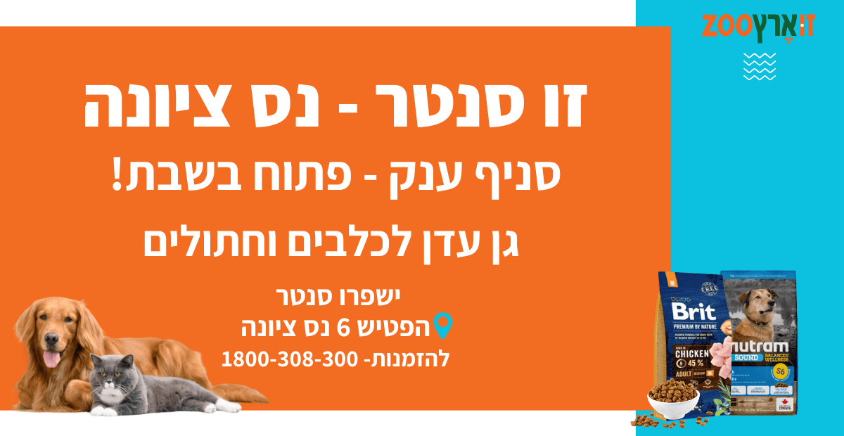 חנות חיות זו סנטר נס ציונה