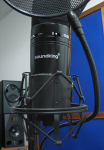 EE211B בולם זעזועים אוניברסלי לקונדנסר  Soundking