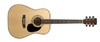 גיטרה אקוסטית CORT AD810 NS