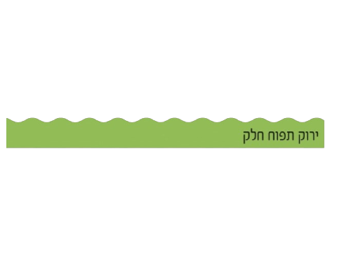 פסי קישוט 18 יח' - ירוק תפוח חלק