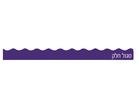 פסי קישוט 18 יח' - סגול חלק
