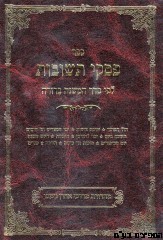 פסקי תשובות סט 