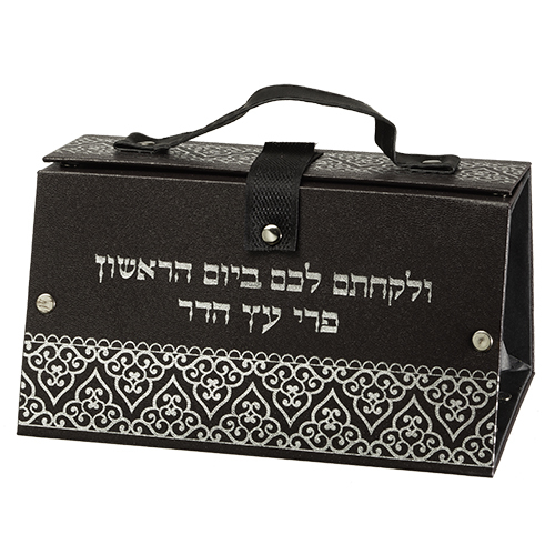 כלי לאתרוג דמוי עור הדפסה כסף 11X19X13 ס