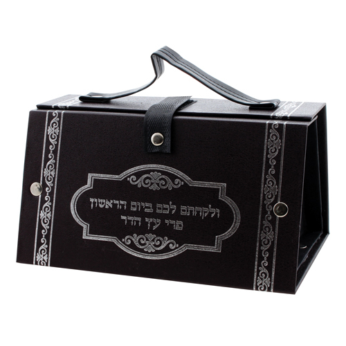 כלי לאתרוג דמוי עור הדפסה כסף 11X19X13 ס