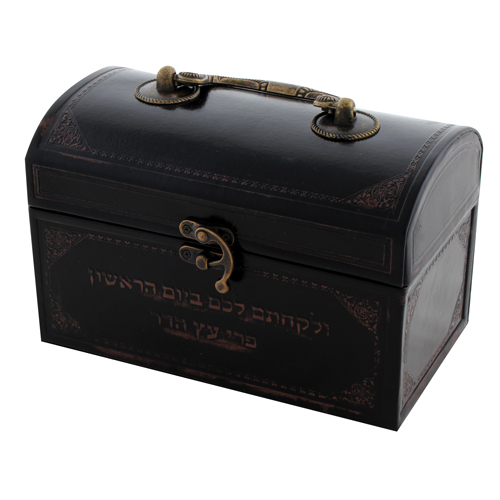 קופסא לאתרוג דמוי עור עם ידית מתכת 13X19X11 ס