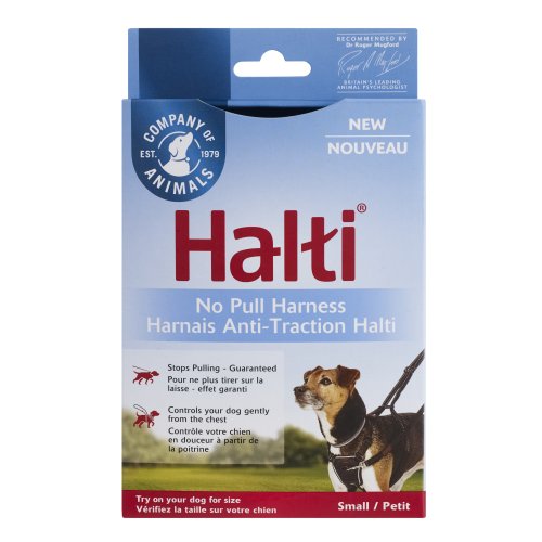 רתמת נון פול הלטי - קטן - Halti