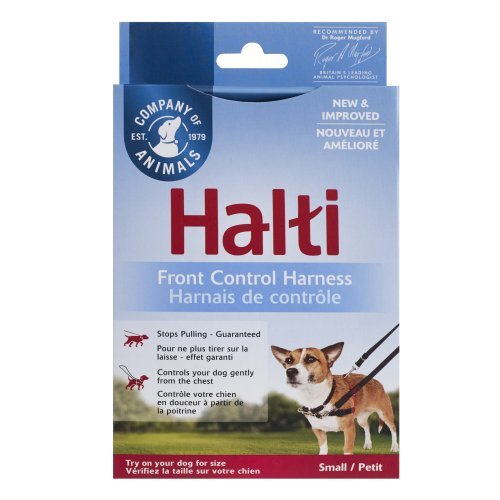 רתמת גוף הלטי - קטן - Halti