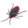 C7b80d97ecbd7288e5c7b68ffde39cdd