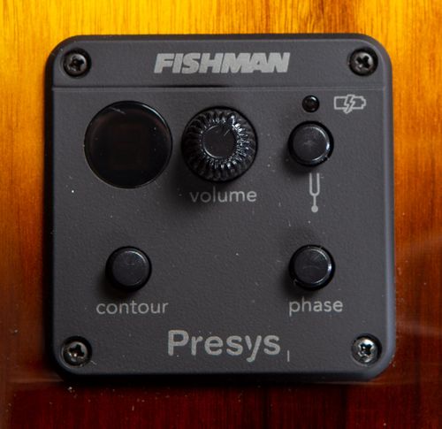 זוית נוספת Breedlove Pursuit Exotic S Concert Tiger's Eye CE