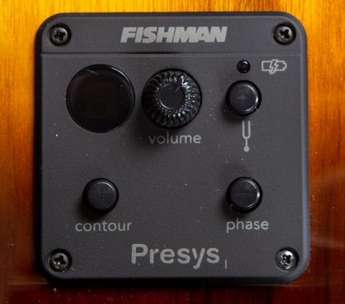 זוית נוספת Breedlove Pursuit Exotic S Concertina Tiger's Eye CE