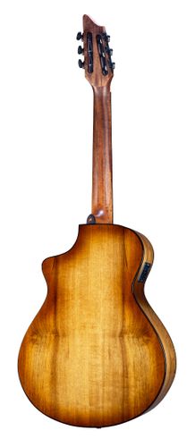 זוית נוספת Breedlove Pursuit Exotic S Concert Nylon CE