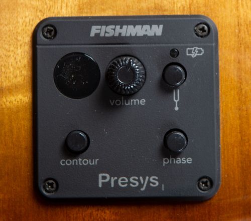 זוית נוספת Breedlove Pursuit Exotic S Concerto Amber Bass CE