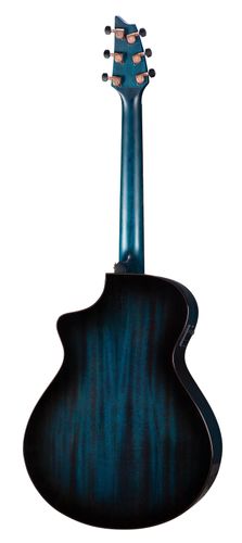 זוית נוספת Breedlove Rainforest S Concert Papillion CE