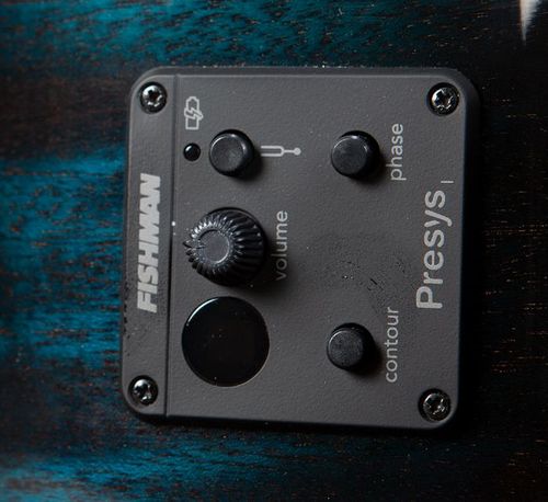 זוית נוספת Breedlove Rainforest S Concert Papillion CE