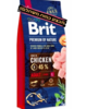 בריט 15 ק"ג בוגר גזע גדולBrit Premium By Nature Adult L