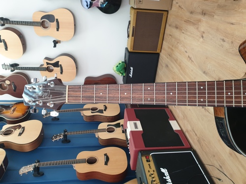 Takamine GF15CE
