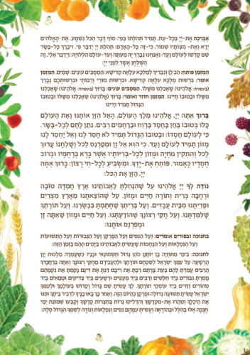 ברכון 'ברכה בגינה' - הברכון שיכניס שפע לביתכם!