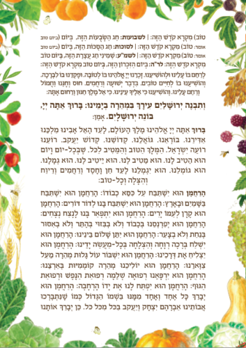 ברכון 'ברכה בגינה' - הברכון שיכניס שפע לביתכם!