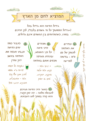 ברכון 'ברכה בגינה' - הברכון שיכניס שפע לביתכם!