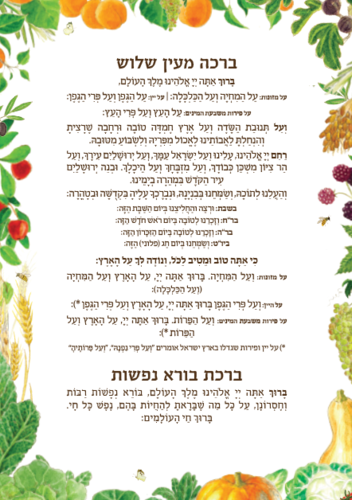 ברכון 'ברכה בגינה' - הברכון שיכניס שפע לביתכם!