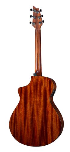 זוית נוספת Breedlove Discovery S Concert CE