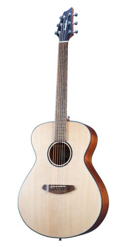 זוית נוספת Breedlove Discovery S Concert