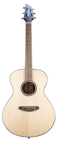 זוית נוספת Breedlove Discovery S Concert LH