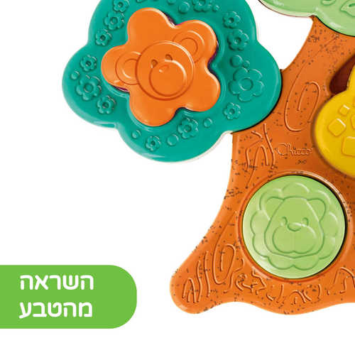 עץ התאמת צורות צבעוניות - צ'יקו