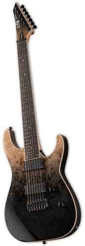 זוית נוספת ESP LTD M-1007HT