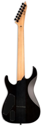 זוית נוספת ESP LTD M-1007HT