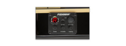 זוית נוספת ESP LTD TL-6