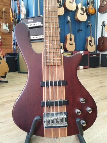 Washburn T25