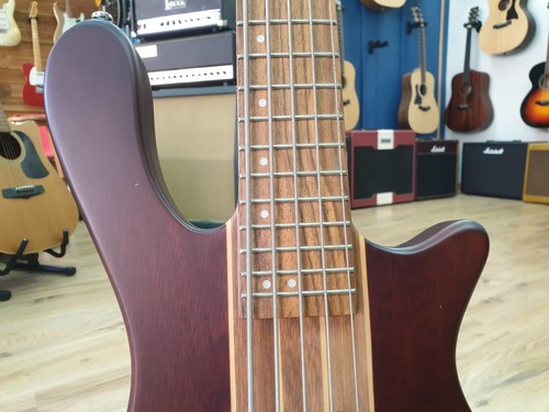 Washburn T25