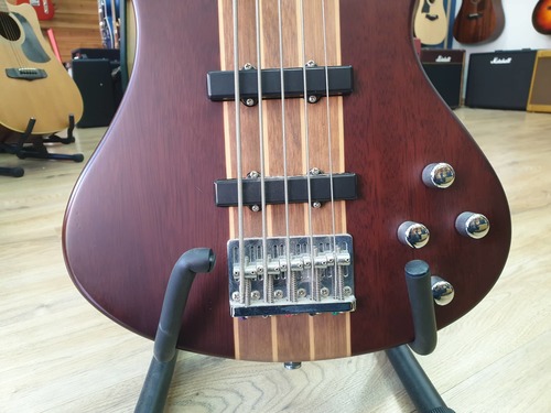 Washburn T25